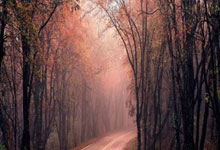 开云体育在线-欧冠之翼！真蓝黑主场铁血斩落劲敌，亚平宁梦想照亮欧洲星空