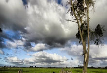 开云体育官网-魔咒！东道主惨遭滑铁卢，外援军团上演惊天逆转