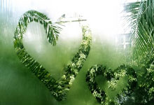 开云官网-红魔梦碎圣徒？1-1平局背后的保级狂魔与争四危局