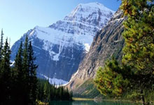 开云体育APP下载-北伦敦白焰：热刺绝境燎原，碾碎豪强桎梏直抵温布利殿堂