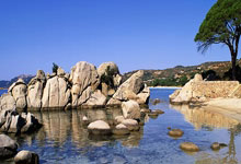 开云体育在线-欧冠之翼！真蓝黑主场铁血斩落劲敌，亚平宁梦想照亮欧洲星空