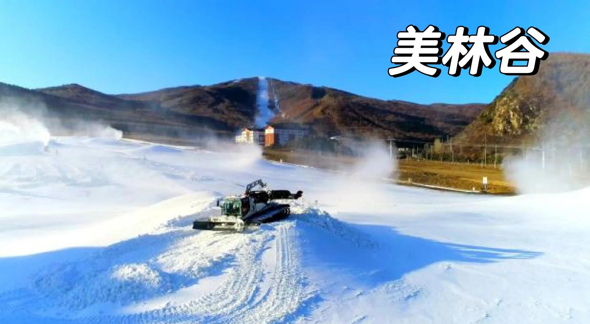 美林花式滑雪勇夺金牌花落谁家