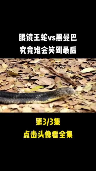 生死一战！劲旅对决谁能笑到最后