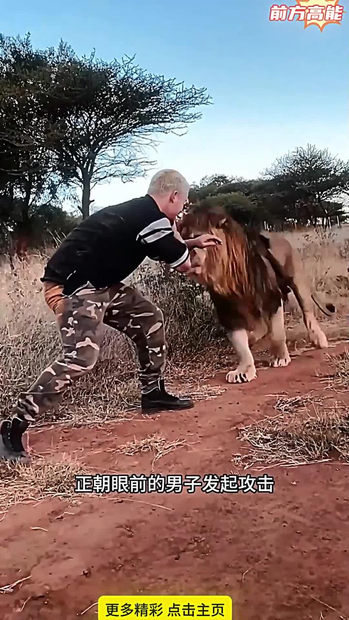 开云体育app-雄狮不敌对手，败北后排名下滑